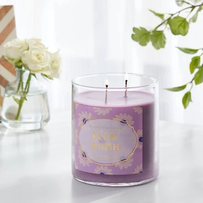 2-Wick 15.1oz Jar Candle Plum Blush - Opalhouse™ 1 2-Wick 15.1oz Jar Candle Plum Blush - Opalhouse™