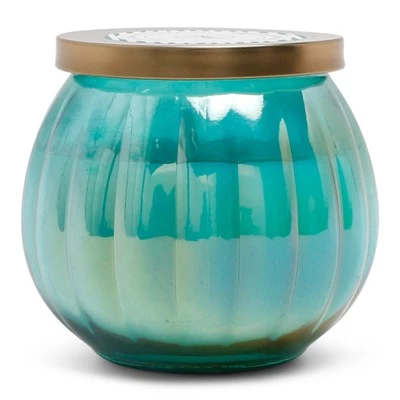 14oz Lidded Glass Jar Candle Driftwood & Sea Salt - Fresh Collection - Opalhouse™ 1 14oz Lidded Glass Jar Candle Driftwood & Sea Salt - Fresh Collection - Opalhouse™